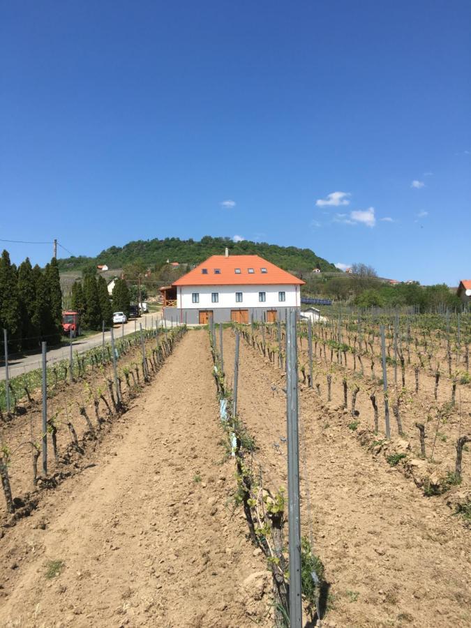 Somlo Kolonics Kuria Hotel Somlovasarhely Exterior photo